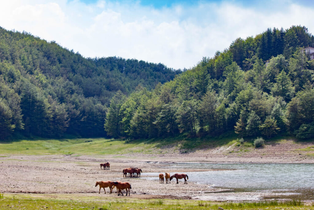 http://transumanza.comunitacibocrinale.it/wp-content/uploads/2023/01/Passo-del-Lagastrello-Lago-Paduli1.jpg